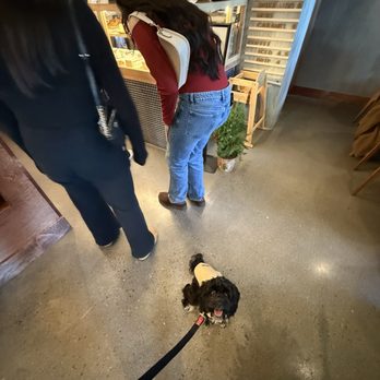 Babychan - Inside is dog friendly which is amazing in the winter months! - Bakeries Near Me - Nashville, Tennessee Babychan - Inside is dog friendly which is amazing in the winter months! - Bakeries Near Me - Nashville, Tennessee