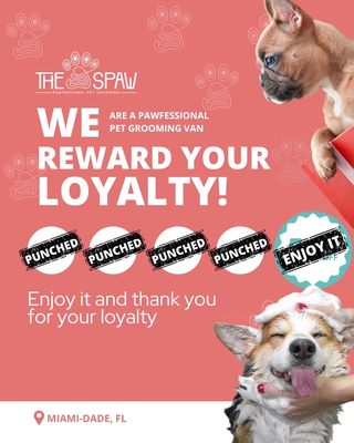 Le Pink Pooch Dog And Cat Grooming Salon LLC: Pamper Perfect!