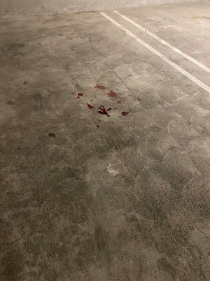 Jia Apartments by null