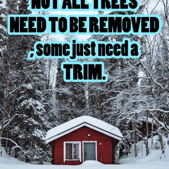 901 Tree King - Tree Services Near Me - Memphis, Tennessee 901 Tree King - Tree Services Near Me - Memphis, Tennessee
