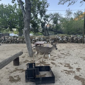 Camp Kernville - Campgrounds Near Me - Kernville, California