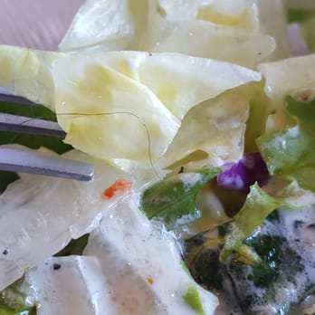 Lancers Restaurant - Can you see the hair ? One of Lancers waitresses try to denied that there was a hair in my salad. - New American Near Me - Burbank, California Lancers Restaurant - Can you see the hair ? One of Lancers waitresses try to denied that there was a hair in my salad. - New American Near Me - Burbank, California