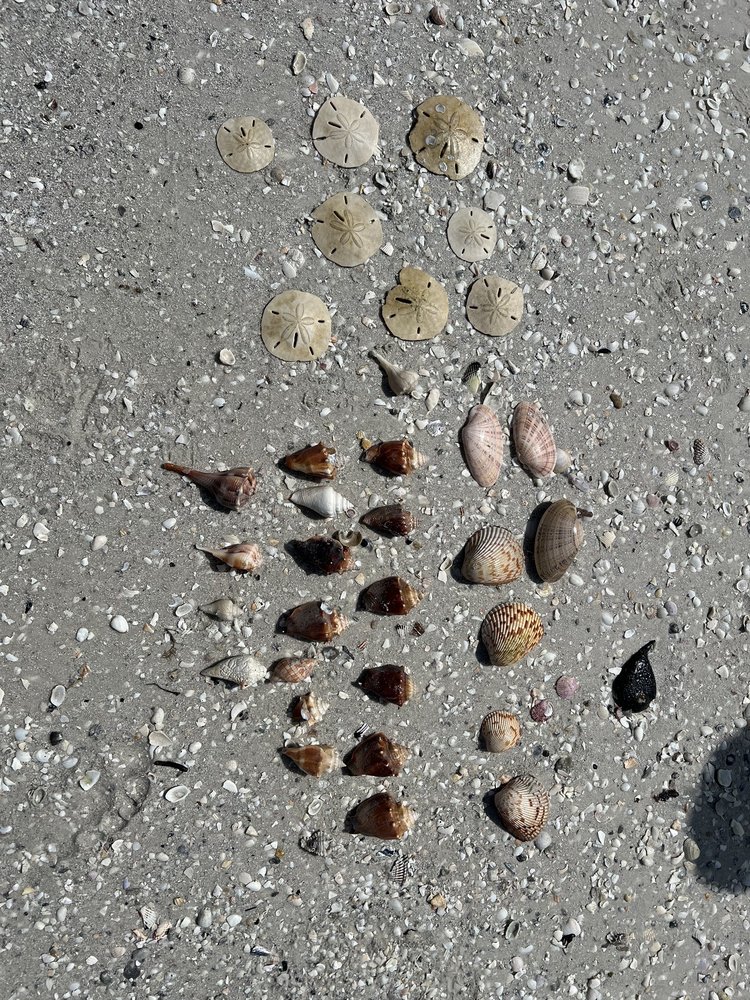 Dreamlander Tours Logo