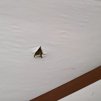 Public Storage - Hole in the ceiling of my unit where water was leaking from - Self Storage Near Me - Bolingbrook, Illinois