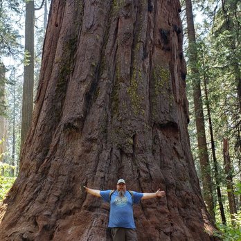 Calaveras Big Trees State Park - Big giant. The tree not husband. - Parks Near Me - Arnold, California Calaveras Big Trees State Park - Big giant. The tree not husband. - Parks Near Me - Arnold, California