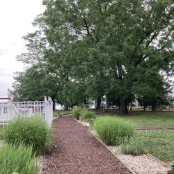 Lankford Bay Marina - Grounds