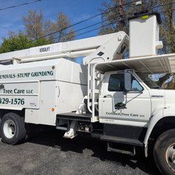 Certified Tree Care