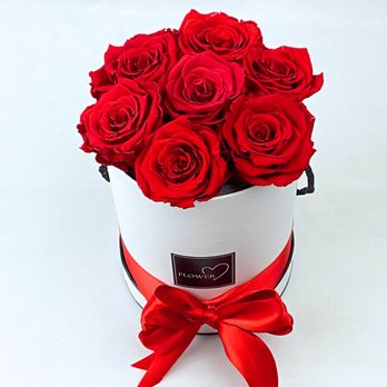 Tejas Plants and Gifts - Pop-up Shops Near Me Tejas Plants and Gifts - Pop-up Shops Near Me