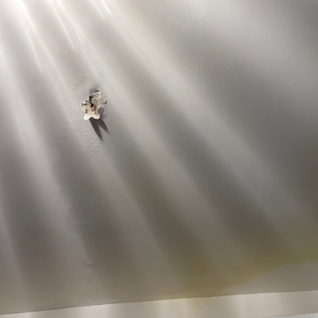 Bay Solar Group - Leak 1 - Thursday 01/05 - Solar Installation Near Me - Sacramento, California