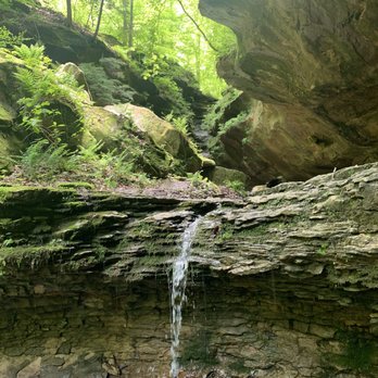 Hoosier National Forest - Parks Near Me - Bedford, Indiana Hoosier National Forest - Parks Near Me - Bedford, Indiana