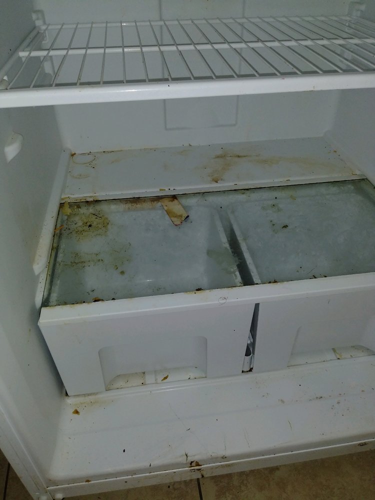 YOU’VE GOT MAIDS Updated September 2024 Harlingen, Texas Home