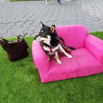 Dogumenta - Public Art Near Me - New York, New York
