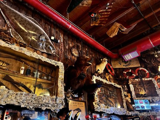 Red Dog Saloon by null