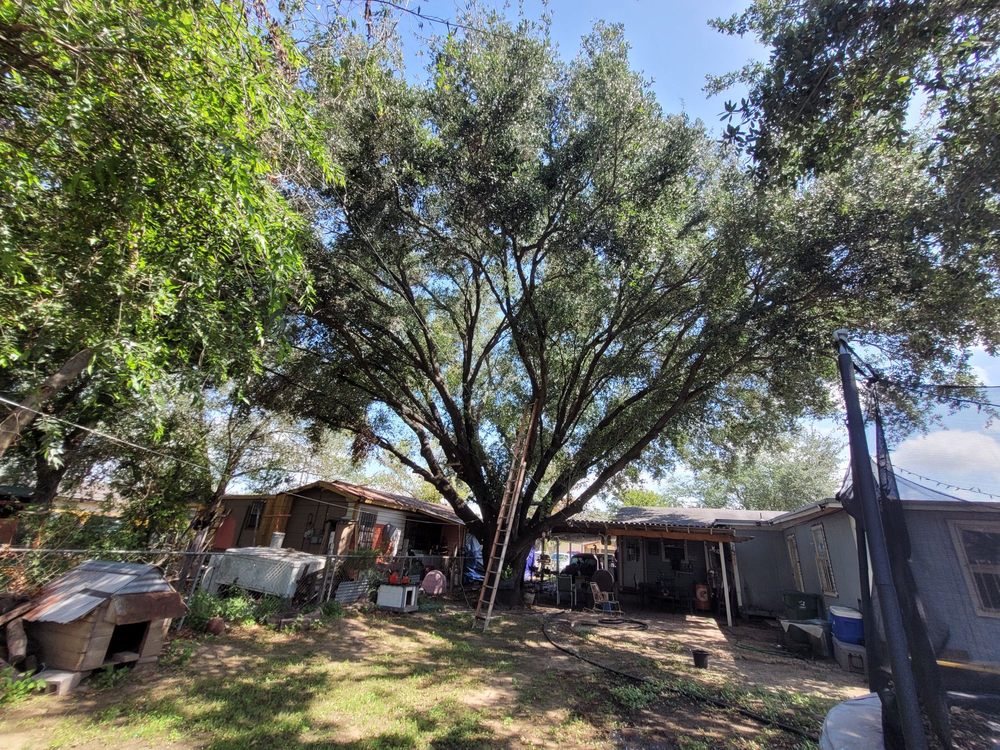 Slide of Trinidad Services