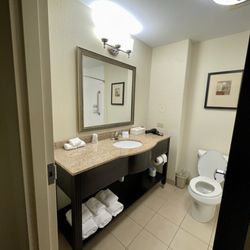 Holiday Inn Express & Suites Moultrie - Bathroom has good lighting