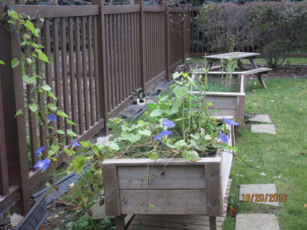 Lake Country Montessori - childcare center in Hartland, WI