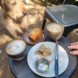 Pivot Coffee - Best mocha in town. And a barista who lovingly makes each cup. Coupled with Sesame Mini (or Seedy Rye or Muesli Loaf!) HEAVENLY MORNING!