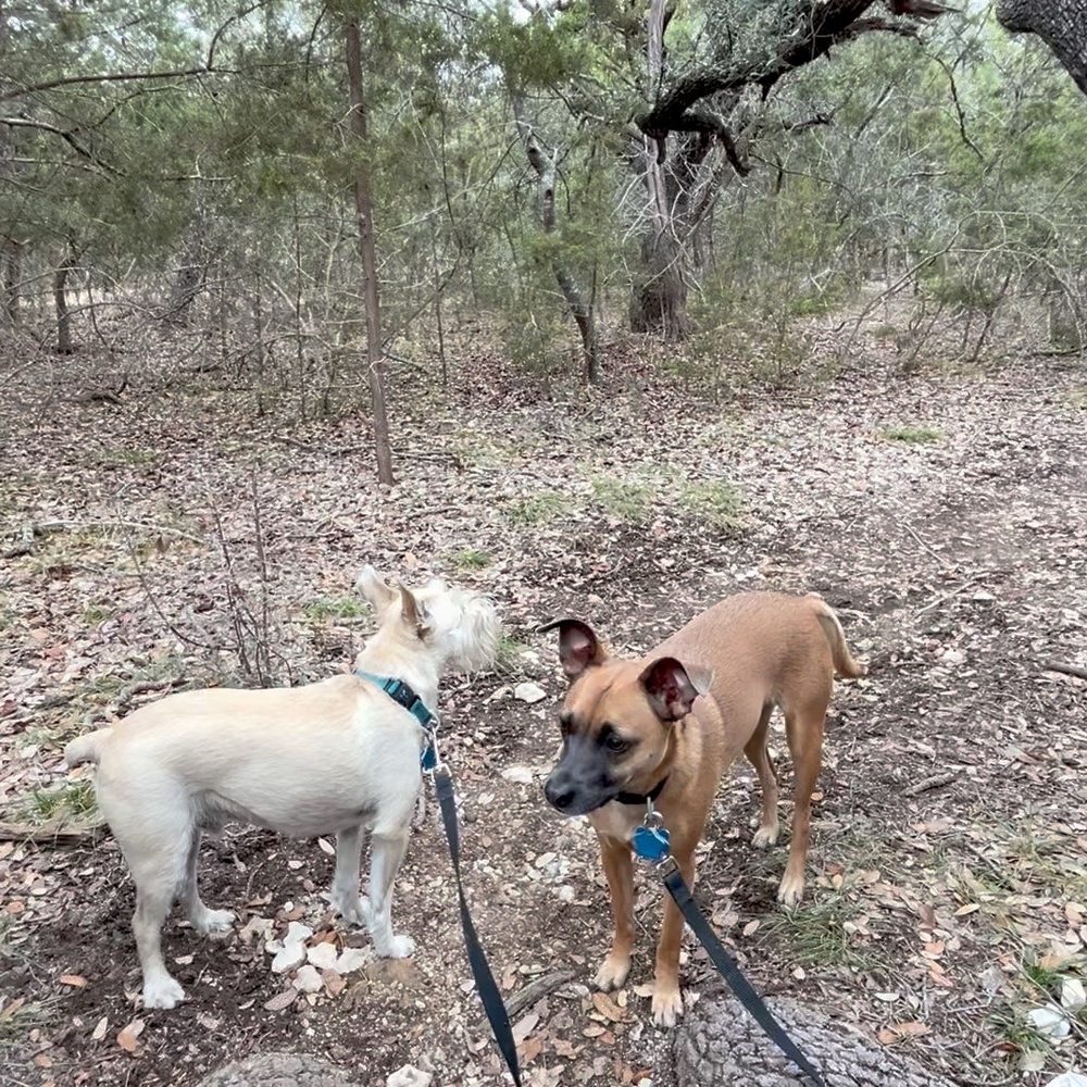 Ogletree Gap Park - Wooded trail area - Parks Near Me - Copperas Cove, Texas Ogletree Gap Park - Wooded trail area - Parks Near Me - Copperas Cove, Texas