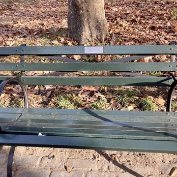 Tom G's Bench - This was hard and easy to find at the same time! Very cool! 12/17/21 - Landmarks & Historical Buildings Near Me - New York, New York Tom G's Bench - This was hard and easy to find at the same time! Very cool! 12/17/21 - Landmarks & Historical Buildings Near Me - New York, New York
