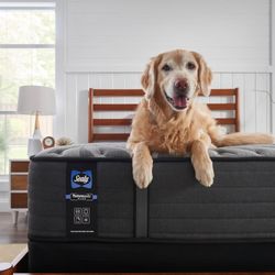 Tammie’s Furniture & Mattress Gallery