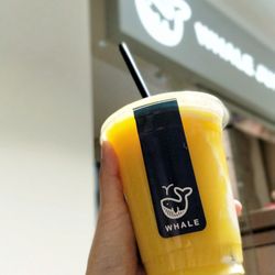 Whale Juice & Blends - Misty mango