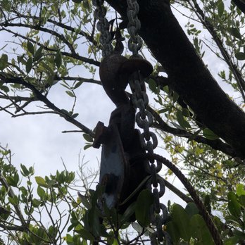 Oslo Riverfront Conservation Area - ORCA - Weird pulley just randomly hanging in a tree. - Parks Near Me Oslo Riverfront Conservation Area - ORCA - Weird pulley just randomly hanging in a tree. - Parks Near Me