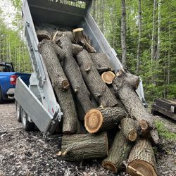 Elite Tree Services
