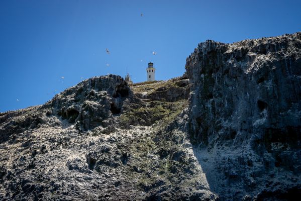 Sail Channel Islands by null