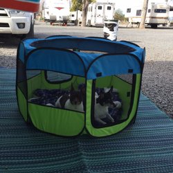 Animal Wellness Center