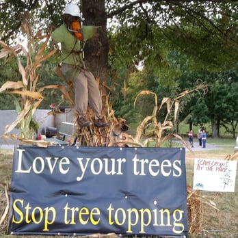 Superior Tree And Landscape Service - Tree topping is a practice that has been around since before chain saws. Since those days a lot has been learned about tree c... - Tree Services Near Me - Morristown, Tennessee Superior Tree And Landscape Service - Tree topping is a practice that has been around since before chain saws. Since those days a lot has been learned about tree c... - Tree Services Near Me - Morristown, Tennessee