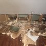 Photo of Basic Basement Company