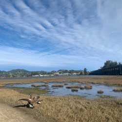 SF Bike Tours