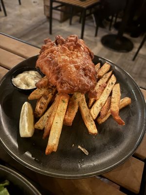 Hawk & Griffin by null