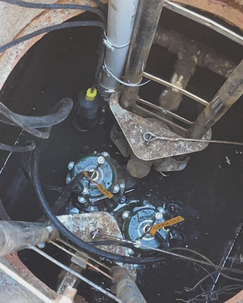 Slide of Rooter Street