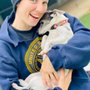 Photo of JD Kennels Camp David for Dogs and Cats