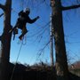 Photo of Bennett Tree Care & Landscape