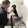 Photo of Furrever Johnys Grooming
