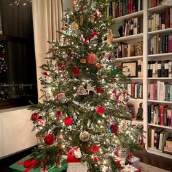 City Tree Delivery