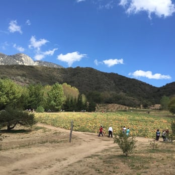 Riley's Apple Farm - Pick Your Own Farms Near Me - Yucaipa, California