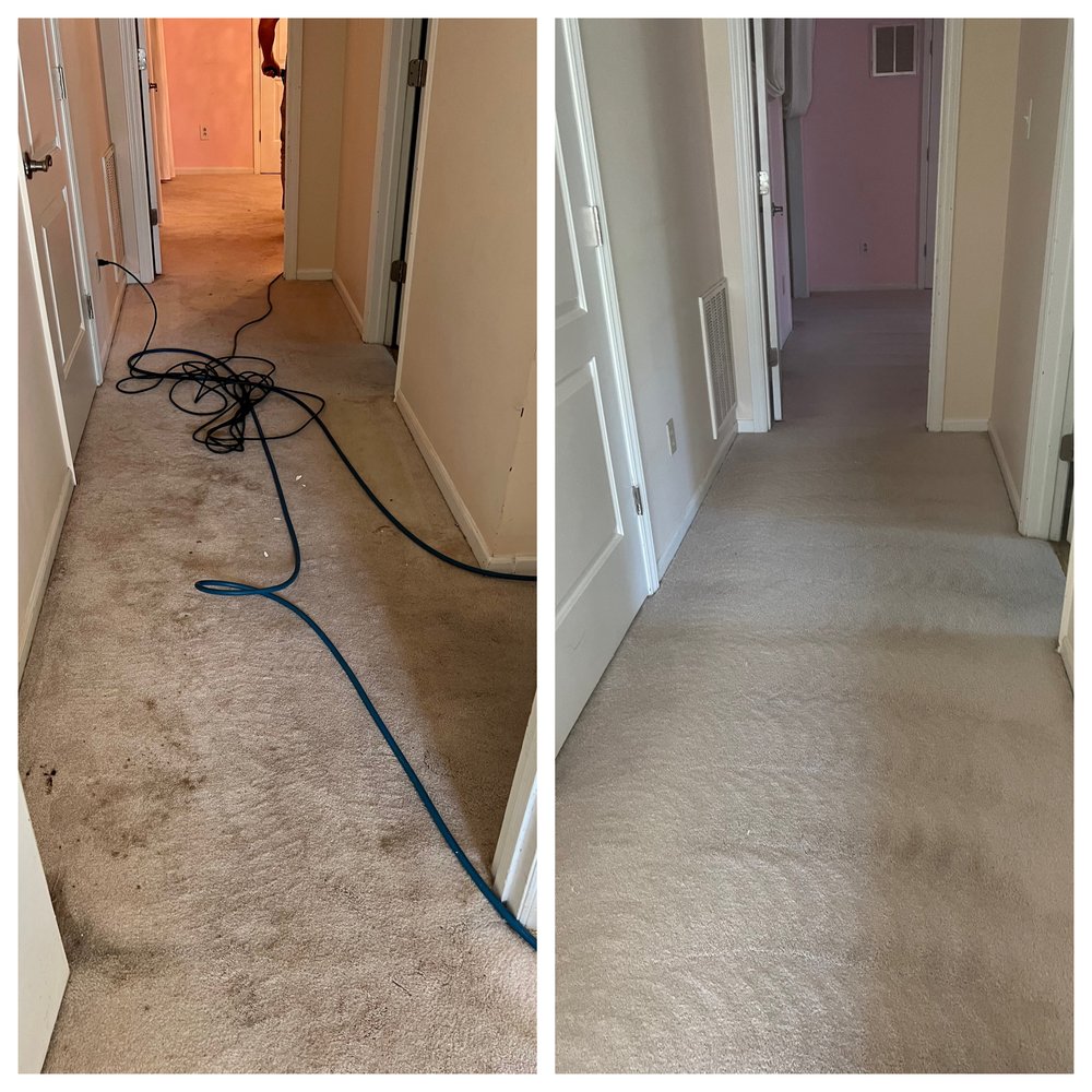 KC’S CARPET CLEANING Updated October 2024 78 Photos New Bern