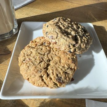The Shmooz - Oatmeal Blueberry Dark Chocolate & Almond cookie - Cafes Near Me - Toronto, Ontario The Shmooz - Oatmeal Blueberry Dark Chocolate & Almond cookie - Cafes Near Me - Toronto, Ontario