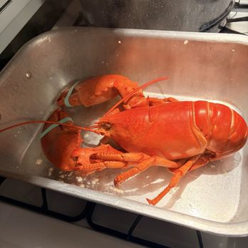 Henry Allen’s Seafood - Seafood Markets Near Me - Harpswell, Maine