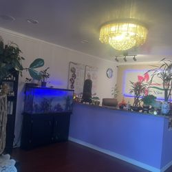 Jasmine Flower Spa