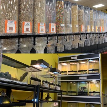Pratt's Pets - Mesa - Food & Reptiles - Pet Stores Near Me - Mesa, Arizona