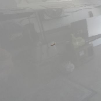 Sossaman Auto Spa - bird poo. can be easily removed with slower wash. - Car Wash Near Me - Mesa, Arizona