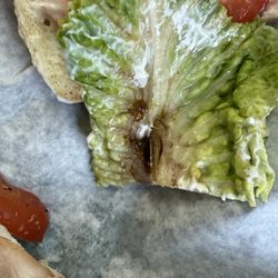 Deli Sandwich