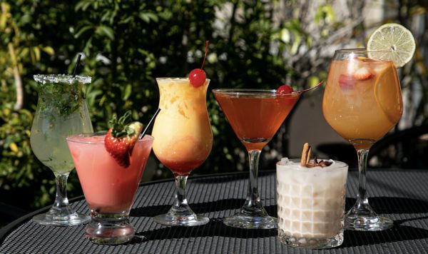 All India Cafe - Best Indian Restaurant in Pasadena by null