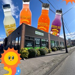 Seeking Ferments - Harried & Hungry / Seeking Ferments / Seeking Kombucha