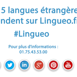 Lingueo - 15 langues étrangères vous attendent sur Lingueo, contactez-nous au 01.75.43.53.00 pour plus d'informations.