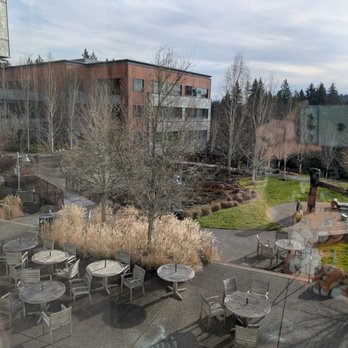 St. Anthony Hospital - Stopping by for an ultrasound. - Hospitals Near Me - Gig Harbor, Washington St. Anthony Hospital - Stopping by for an ultrasound. - Hospitals Near Me - Gig Harbor, Washington